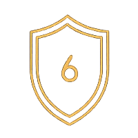 6 лет опыта
